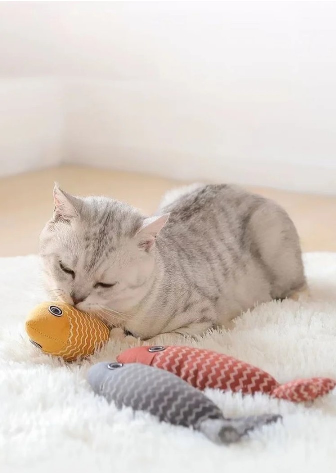 Interactive Fish Shape Pet Plush Toys